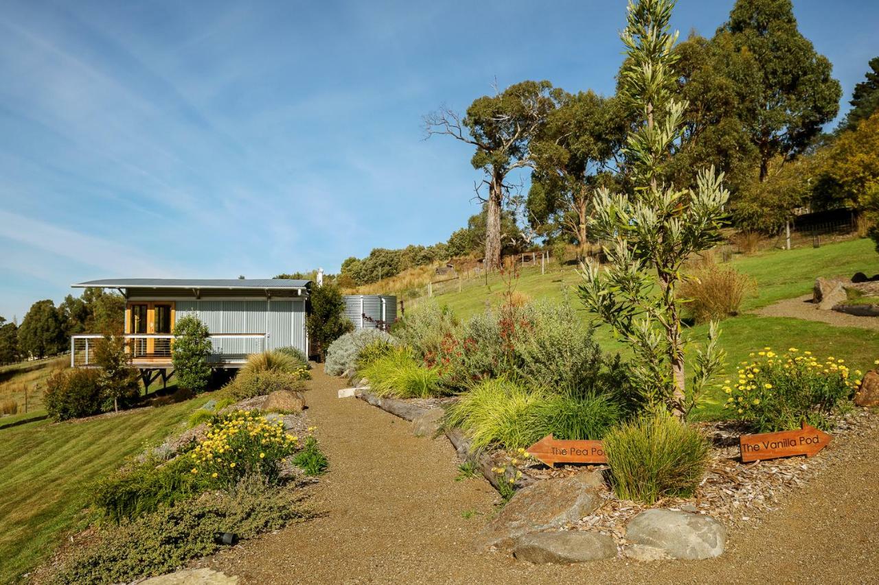 Bed and Breakfast Hobart Hideaway Pods à Kingston Extérieur photo
