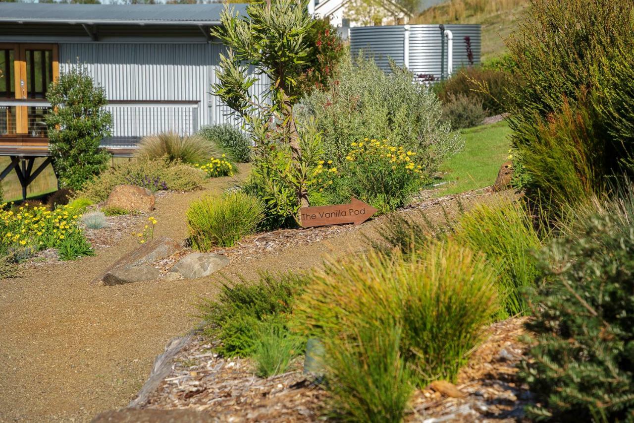 Bed and Breakfast Hobart Hideaway Pods à Kingston Extérieur photo
